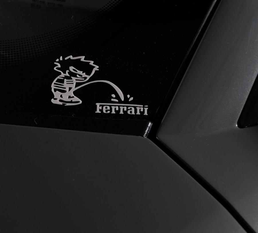  Lamborghini Murcielago LP640 by Edo Competition 2007 года  (фото 16 из 51)